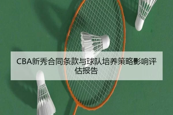 CBA新秀合同条款与球队培养策略影响评估报告