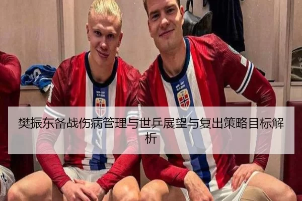 樊振东备战伤病管理与世乒展望与复出策略目标解析